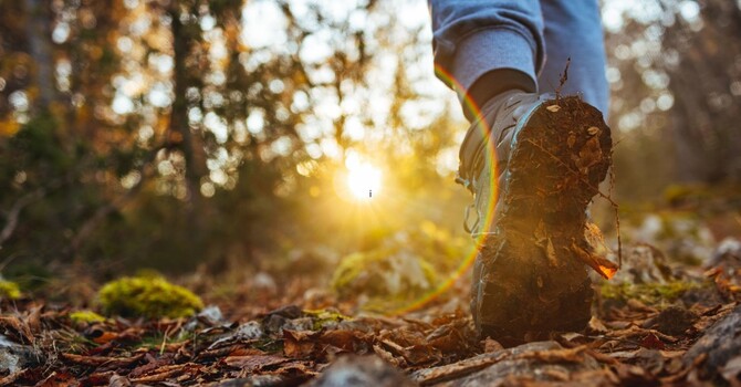 EMDR Therapy for Trauma: What It Is, What It Treats, and How It Helps image